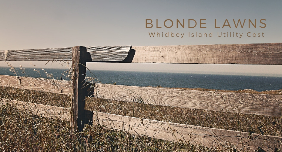 Blonde Lawns, Yard, Grass, homes, whidbey island, Oak Harbor