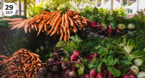 Tilth Farmers Market & Garden, Langley, Washington, Windermere Real estate, Whidbey Island, Local event, fresh produce, locally grown, entertainment, education